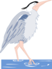 Heron Walking In Water Clip Art